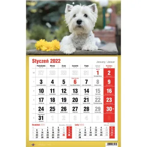 Třístranný nástěnný kalendář Avanti (5901769620582)