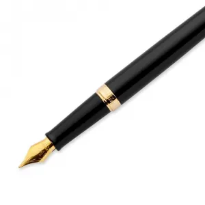 Pero Waterman Hepisphera Exclusive Piston Pen (S0920610)