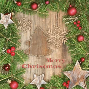 Ubrousky Pol-mak s hvězdičkou - mix 330 mm x 330 mm (Sd GW)