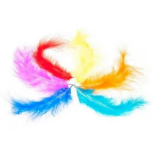 Craft Fun Feathers mix (308968)