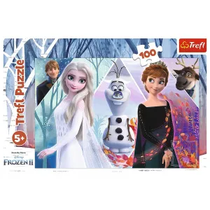 Puzzle Trefl Enchanted Land 100 el. (16418)
