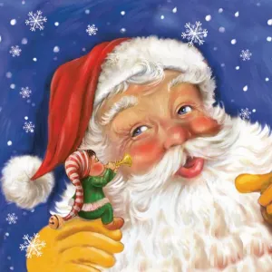 Ubrousky Pol-mak s hvězdičkou - mix 330 mm x 330 mm (Sd GW)