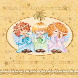 Ubrousky Pol-mak s hvězdičkou - mix 330 mm x 330 mm (Sd GW)