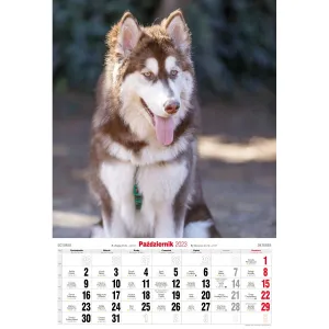 Nástěnný kalendář Avanti s pruhy 285 mm x 410 mm (5901769621107)