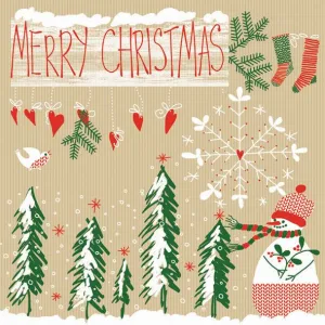 Ubrousky Pol-mak s hvězdičkou - mix 330 mm x 330 mm (Sd GW)