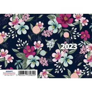 Avanti 70mm x 105mm (5901769620629) knižní kalendář (diář)