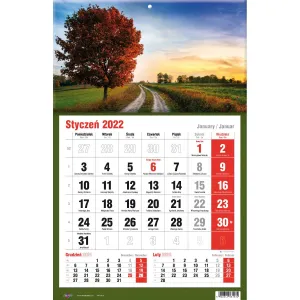 Třístranný nástěnný kalendář Avanti (5901769620582)