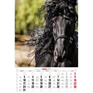 Vícepanelový pruhovaný nástěnný kalendář Avanti 285 mm x 420 mm (5901769620483)