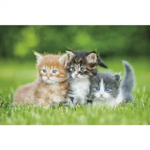 Michalczyk i Prokop trojskladový nástěnný kalendář 855 mm x 315 mm (T-105T-10)