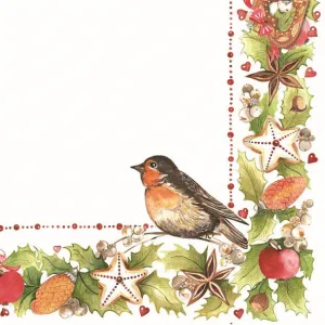 Ubrousky Pol-mak s hvězdičkou - mix 330 mm x 330 mm (Sd GW)