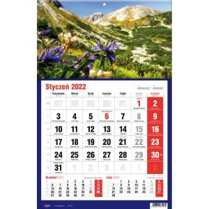 Třístranný nástěnný kalendář Avanti (5901769620582)