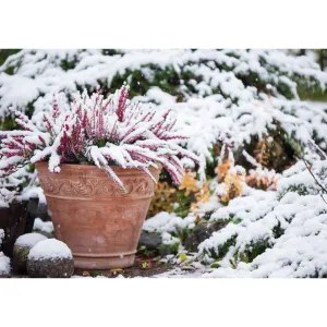 Vícepanelový nástěnný kalendář Avanti 285 mm x 410 mm (KA-11)