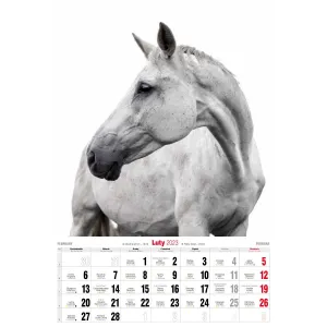 Vícepanelový pruhovaný nástěnný kalendář Avanti 285 mm x 420 mm (5901769620483)