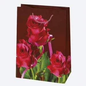 Dárková taška Pol-mak 230 mm x 320 mm x 110 mm (T5)