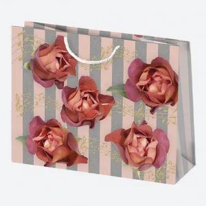 Dárková taška Pol-mak 300 mm x 230 mm x 100 mm (T6)