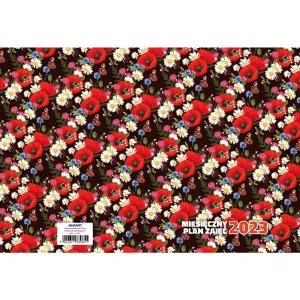 Kalendář (kniha schůzek) Avanti kniha schůzek 190mm x 260mm (5902641332678)