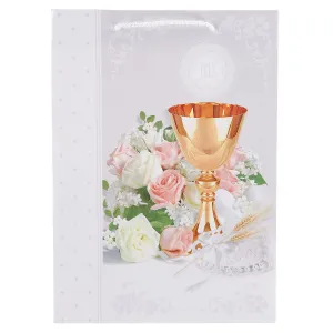 Dárková taška Merigraf na přijímání 230 mm x 320 mm x 110 mm (T5)