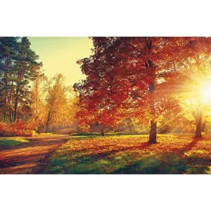 Michalczyk i Prokop nástěnný kalendář 310mm x 482mm (T-107S-3)