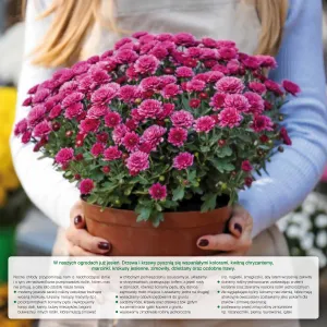 Vícepanelový nástěnný kalendář Avanti 300 mm x 600 mm (5901769620407)