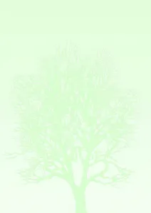Dekorační papír (vizitkový) Galeria Papieru A4 100g (230410)