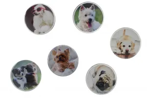 Kulatý magnet Fun&Joy DOG - mix ø 30 mm