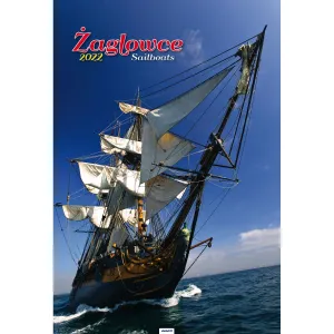 Nástěnný kalendář Avanti multipanel A3 285 mm x 420 mm (5901769620841)