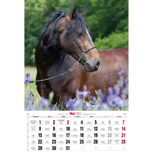 Vícepanelový pruhovaný nástěnný kalendář Avanti 285 mm x 420 mm (5901769620483)