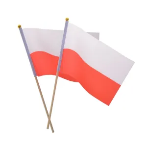 Vlajka Arpex na tyči 2 ks. (SP4903)
