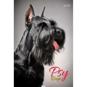 Nástěnný kalendář Avanti s pruhy 285 mm x 410 mm (5901769621107)