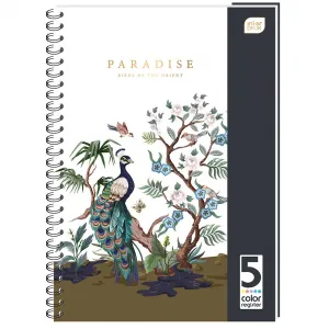 Interdruk notebook B5 160k. karta (KOŁOZB5160R)
