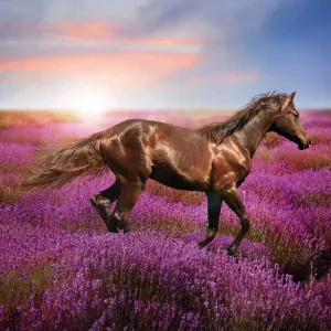 Vícepanelový nástěnný kalendář Avanti 300 mm x 600 mm (KAD-11)