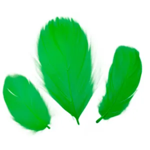 Titanum Craft-Fun Series peří zelená