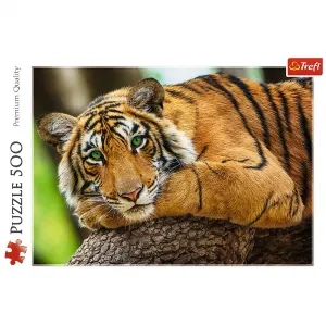 Puzzle Trefl Portrét tygra 500 el. (37397)