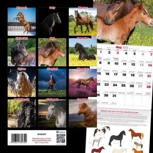 Vícepanelový nástěnný kalendář Avanti 300 mm x 600 mm (KAD-11)