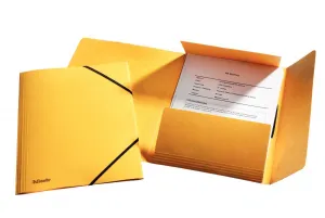 Kartonové pouzdro Esselte A4 barva: žlutá (26591)