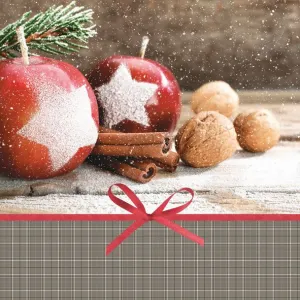 Ubrousky Pol-mak s hvězdičkou - mix 330 mm x 330 mm (Sd GW)