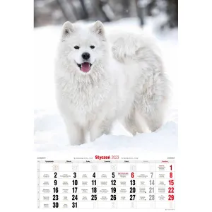 Nástěnný kalendář Avanti s pruhy 285 mm x 410 mm (5901769621107)