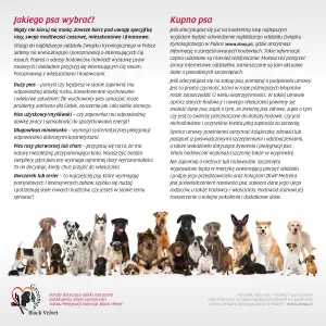 Vícepanelový nástěnný kalendář Avanti 300 mm x 600 mm (KAD-10)