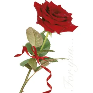 Visačky na dárky, dárky, květiny Pol-Mak 55 x 77 mm mix vzorů