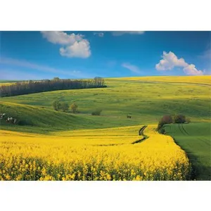 Michalczyk i Prokop trojdílný nástěnný kalendář 288 mm x 622 mm (T-106T-09)