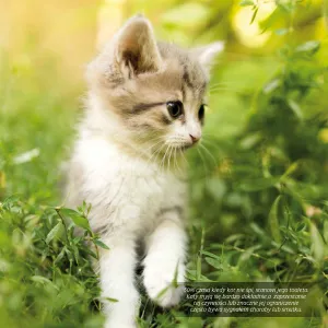 Vícepanelový nástěnný kalendář Avanti 300 mm x 300 mm (KAD-9)