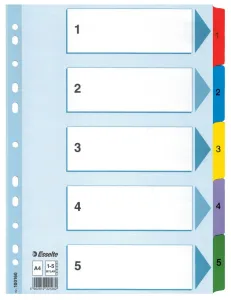 Esselte Mylar kartonový blok A4 vícebarevný 160g 5k 1-5 (100160)