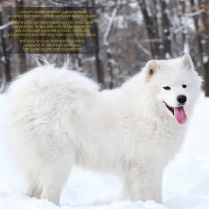 Vícepanelový nástěnný kalendář Avanti 300 mm x 600 mm (KAD-10)