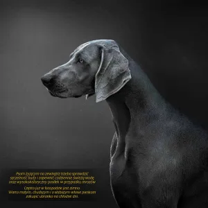 Vícepanelový nástěnný kalendář Avanti 300 mm x 600 mm (KAD-10)