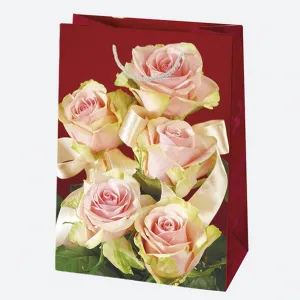 Dárková taška Pol-mak 230 mm x 320 mm x 110 mm (T5)