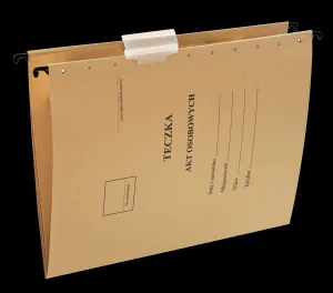 Suspenzní pilník Esselte A4 - sulfátový 230g (15212)