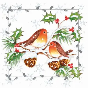 Ubrousky Pol-mak s hvězdičkou - mix 330 mm x 330 mm (Sd GW)