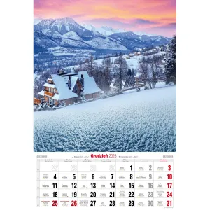 Nástěnný kalendář Avanti s pruhy 285 mm x 420 mm (5901769620827)