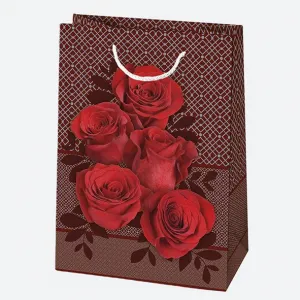 Dárková taška Pol-mak 230 mm x 320 mm x 110 mm (T5)