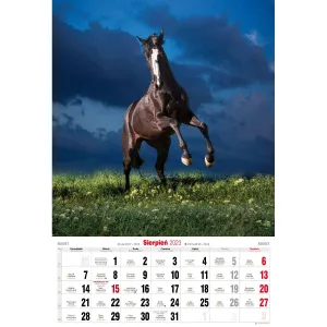 Vícepanelový pruhovaný nástěnný kalendář Avanti 285 mm x 420 mm (5901769620483)